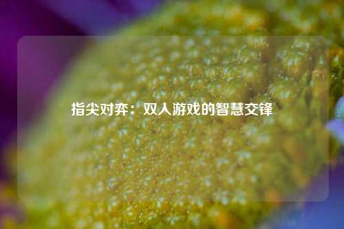 指尖对弈：双人游戏的智慧交锋