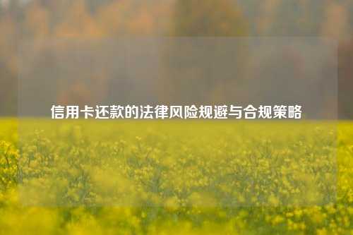信用卡还款的法律风险规避与合规策略