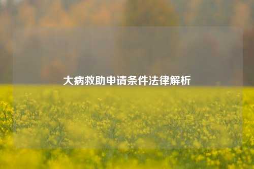 大病救助申请条件法律解析